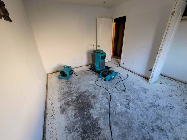 Best Professional water damage repair  in St Anne, IL