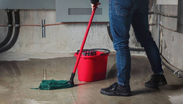 Best Ceiling water damage repair  in St Anne, IL