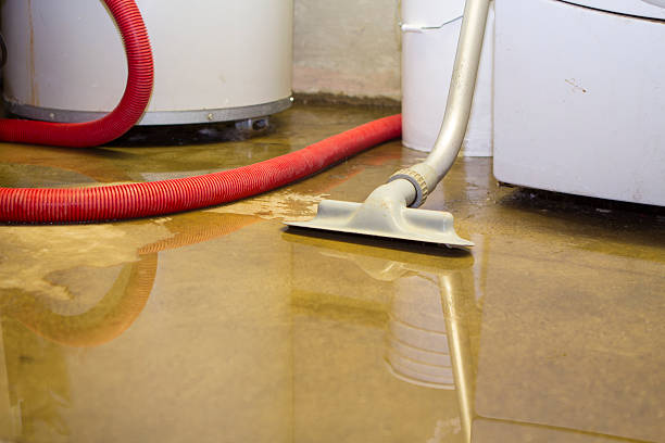 Best 24/7 water damage repair  in St Anne, IL