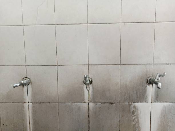 Best Sewage cleanup and water damage restoration  in St Anne, IL