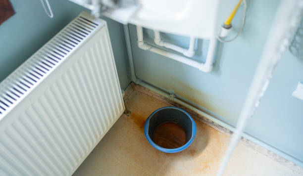 Best Commercial water damage restoration  in St Anne, IL