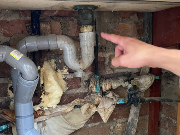 Best Water damage restoration near me  in St Anne, IL